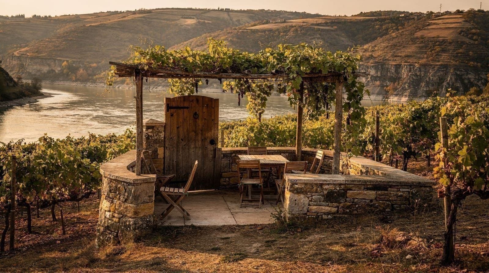 Vino y gastronomía