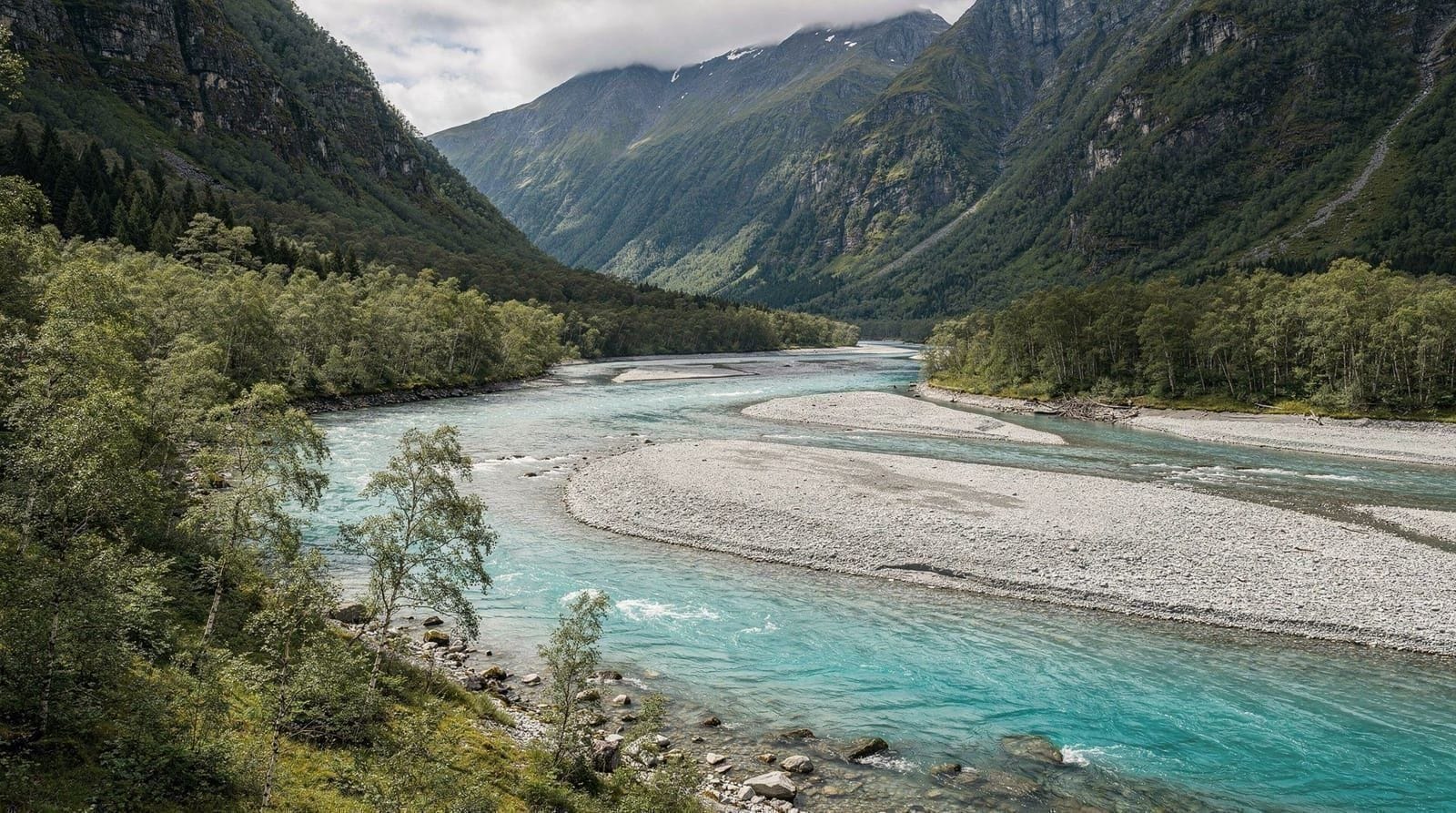 The Dart River
