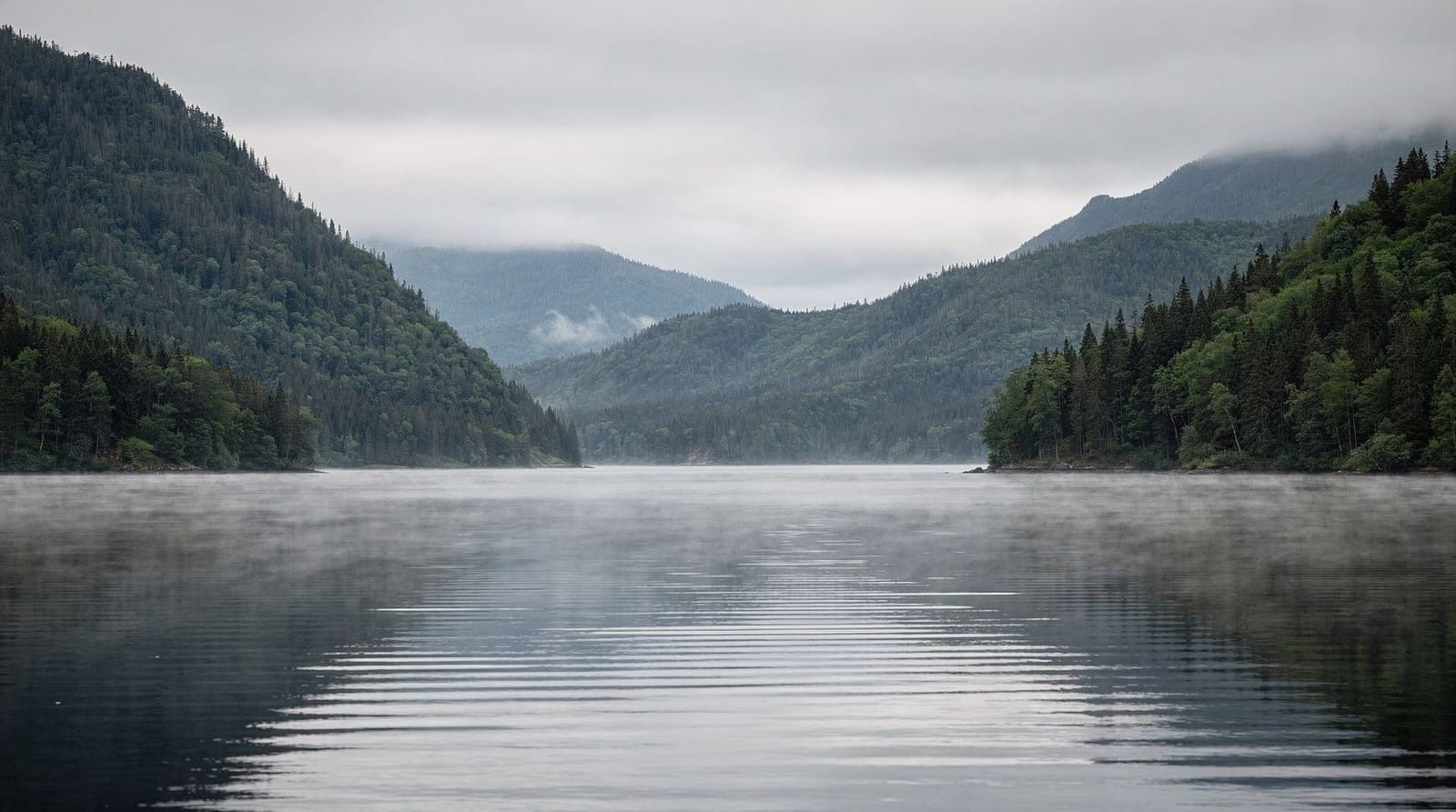 Doubtful Sound: maior, mais silencioso e a um dia inteiro