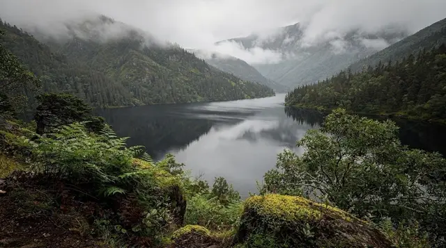 Fiordland national park