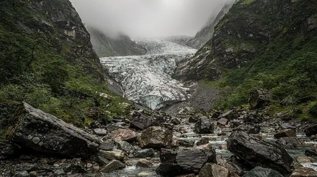 Fox glacier