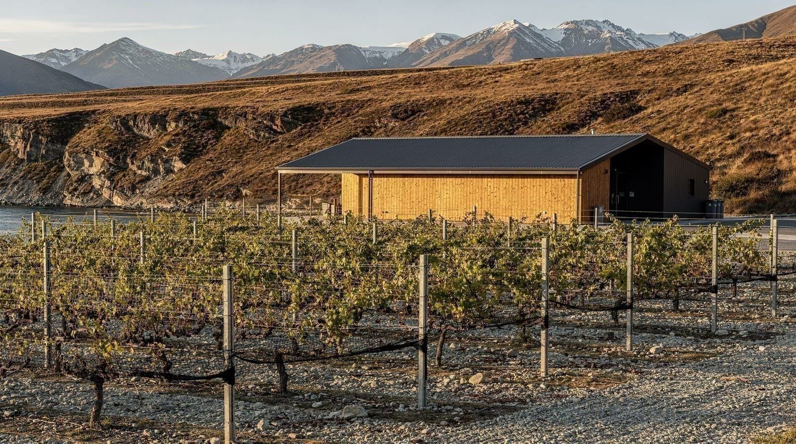 Gibbston Valley: a região vinícola de Queenstown