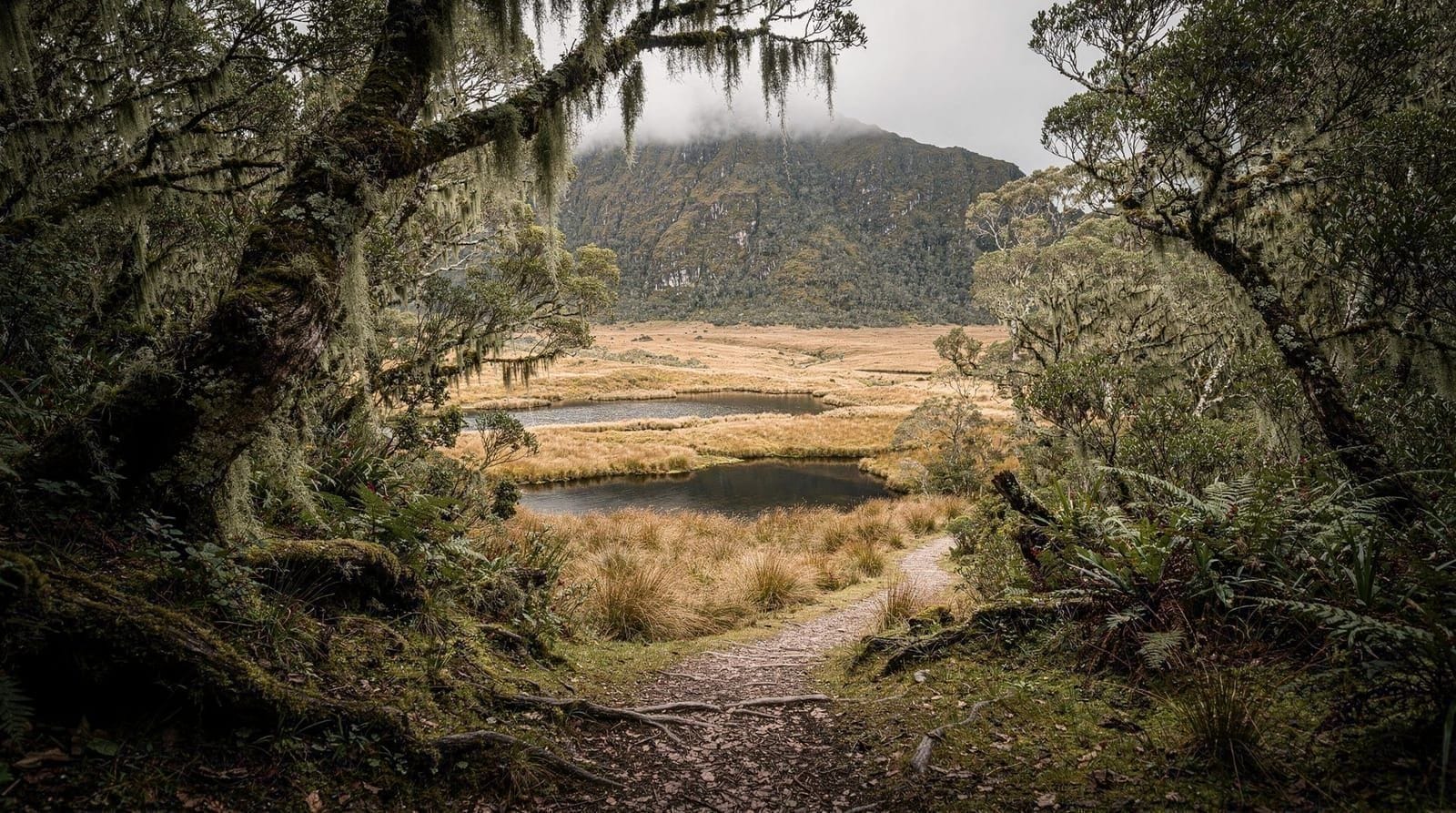 O Routeburn Track, de Glenorchy a Fiordland