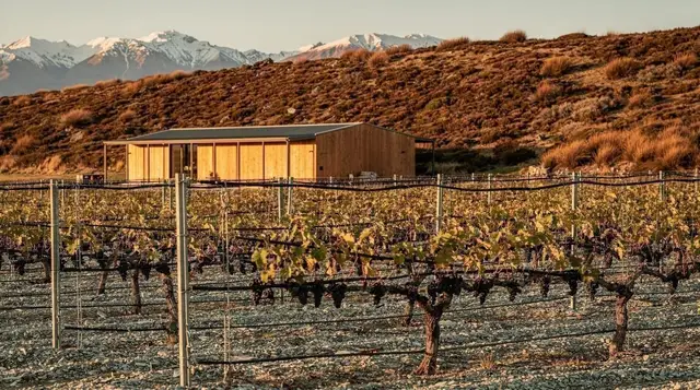 Central Otago pinot noir: climate, sub-regions and how to read a label