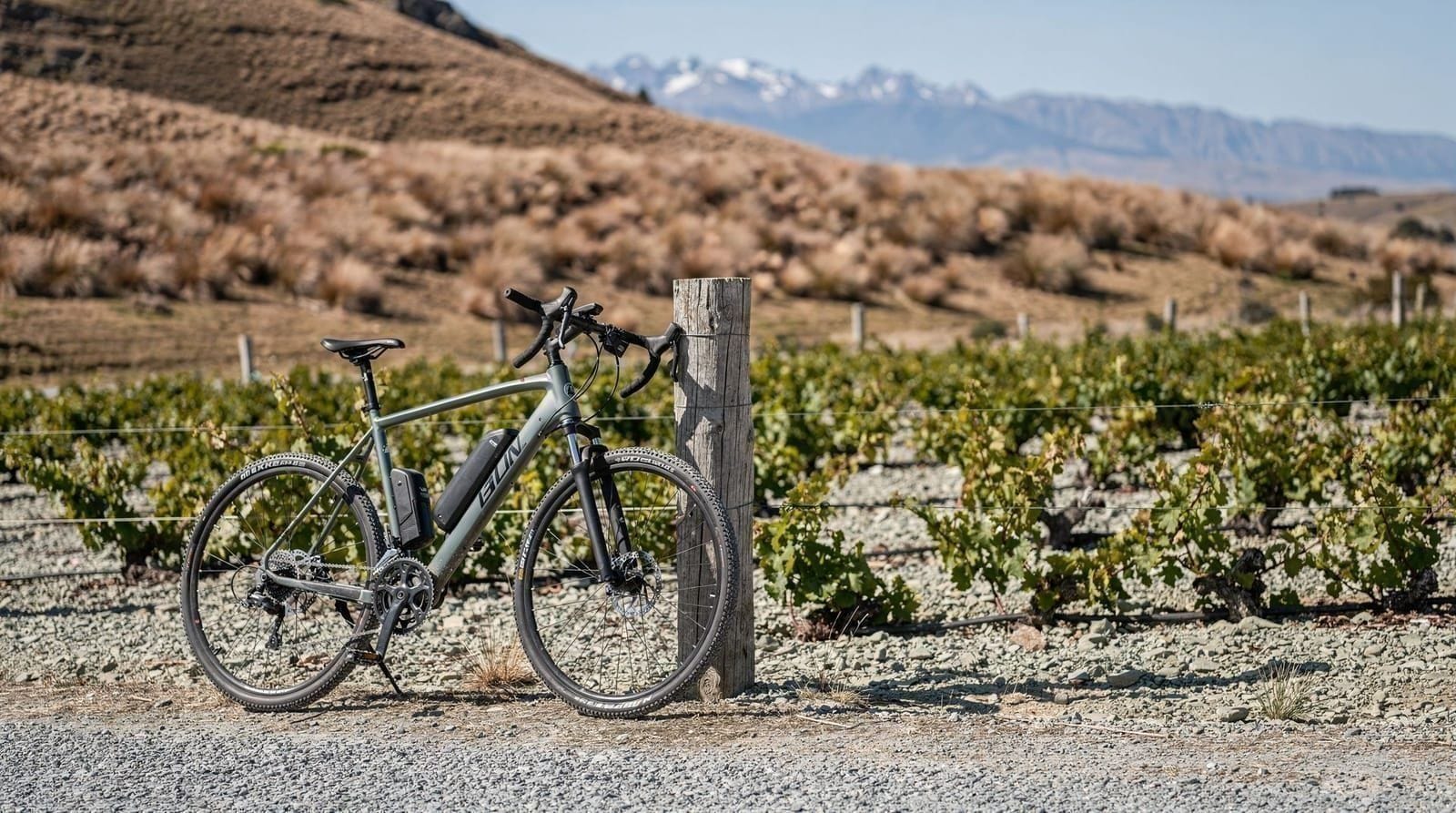 De e-bike pelo trilho vinícola do vale de Gibbston