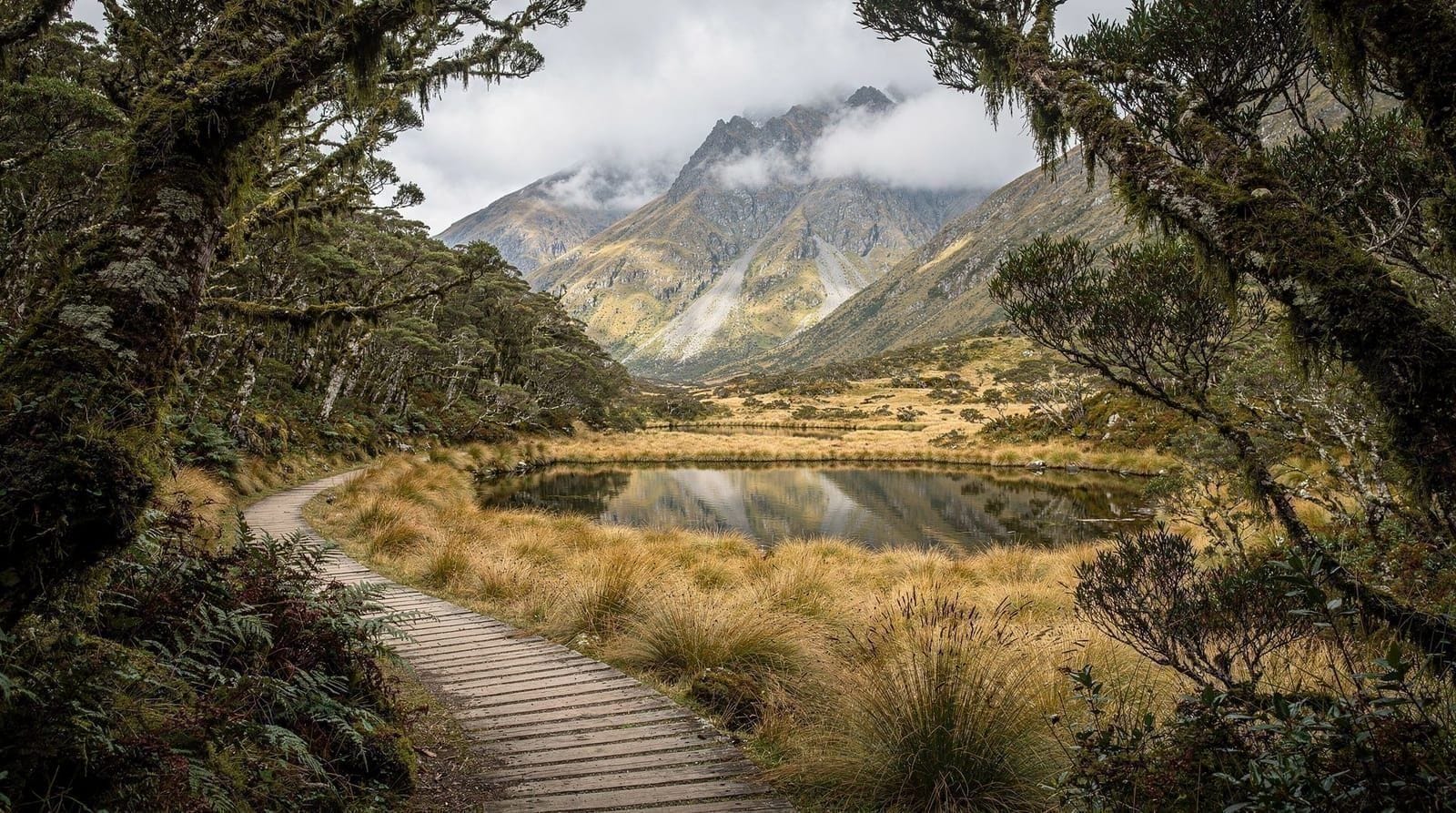 Great walks perto de Queenstown: Routeburn, Milford, Kepler e Rakiura