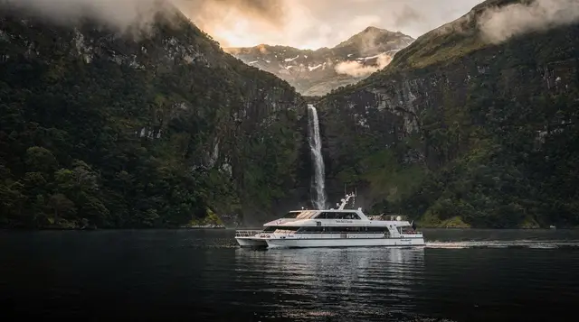 Milford Sound cruises compared