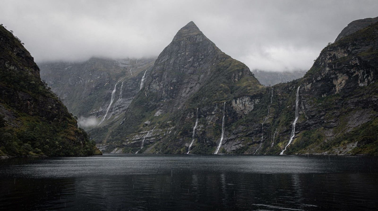 Milford Sound vs Doubtful Sound: qual fiorde escolher?