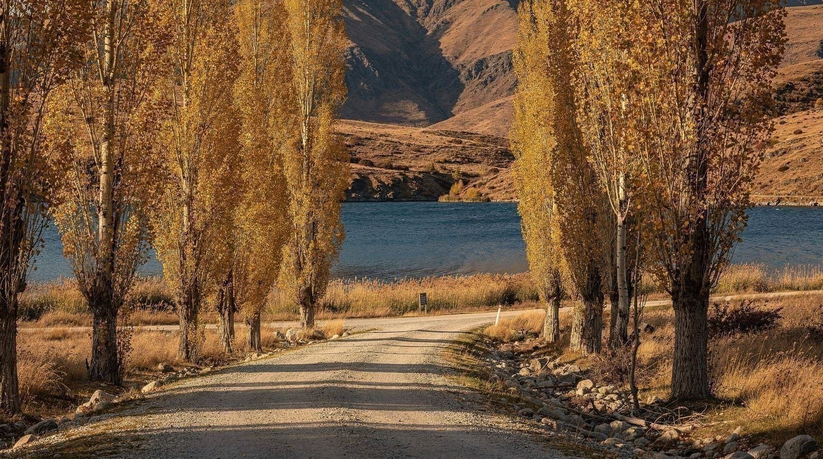 Queenstown no outono: a janela de cor de Arrowtown, explicada