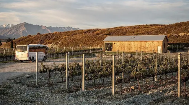 Queenstown wine tours compared: which format actually suits you