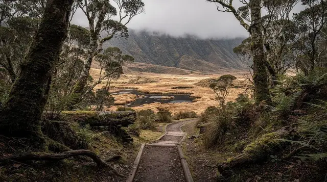 The Routeburn Track: a practical guide